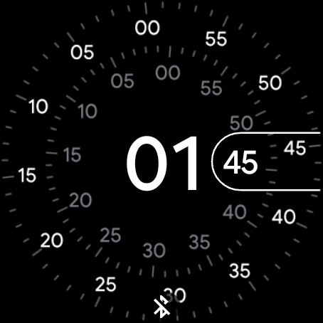 Wear OS Check In